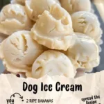 Dog Ice Cream 3 dog ice cream 2026 03 21 032222 1