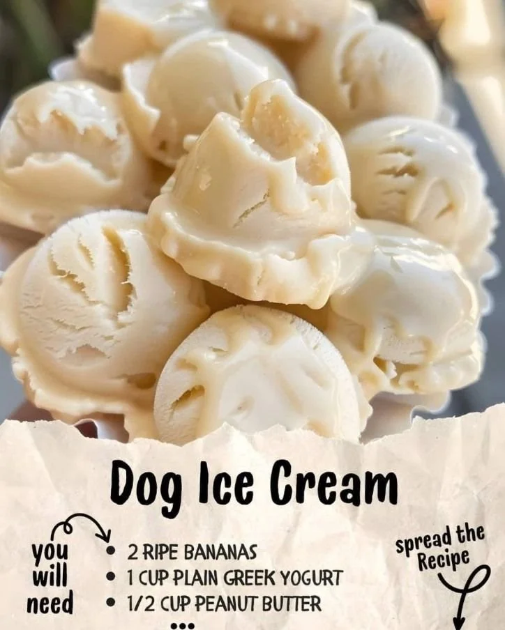 A bowl of dog ice cream, a perfect summer treat for your furry friend.