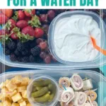 Easily pack food to bring for your next water day 3 easily pack food to bring for your next water day 2026 03 21 004433 683x1024 1