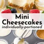 mini cheesecakes 2026 03 19 225918 1