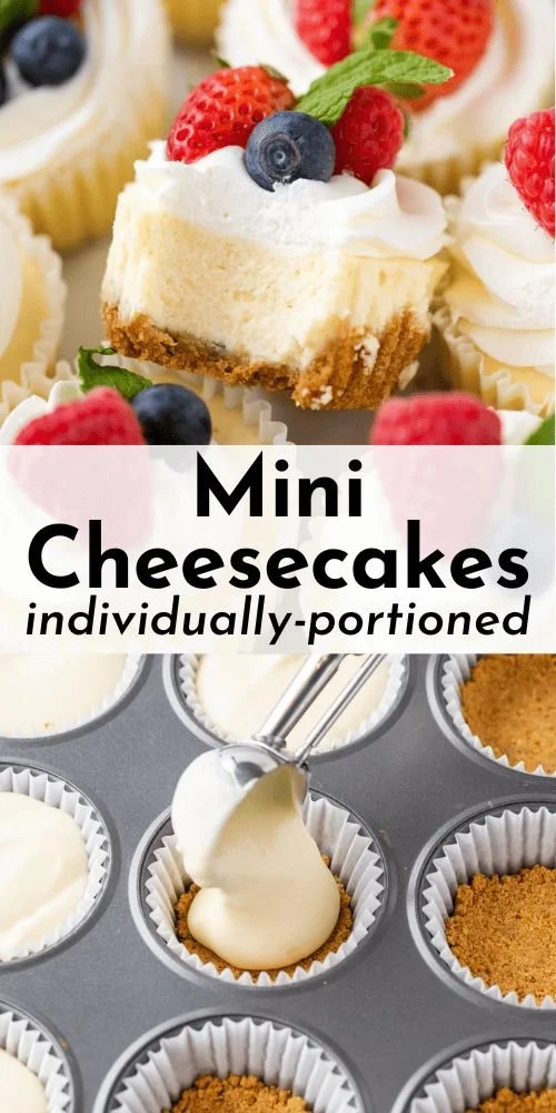 Assorted mini cheesecakes topped with fruits and chocolate