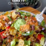 Santa Fe Salad 3 santa fe salad 2026 03 20 022659 576x1024 1